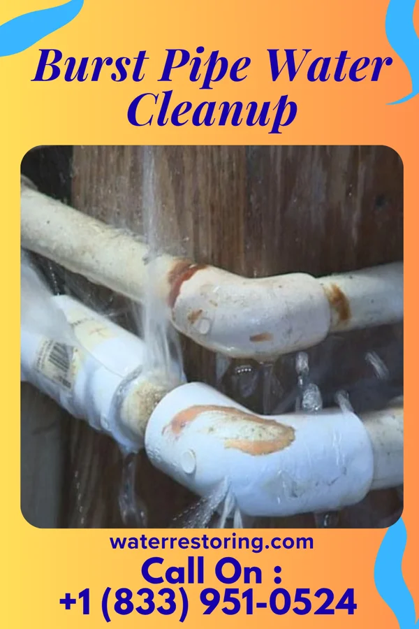 Burst Pipe Water Cleanup in Bourbon, MO