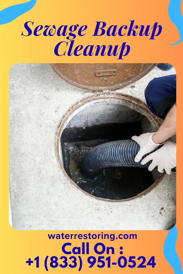 Sewage Backup Cleanup in Bourbon, MO