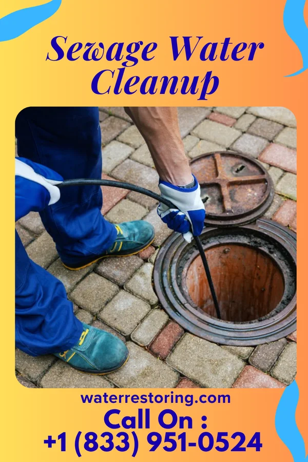Sewage Water Cleanup in Bourbon, MO