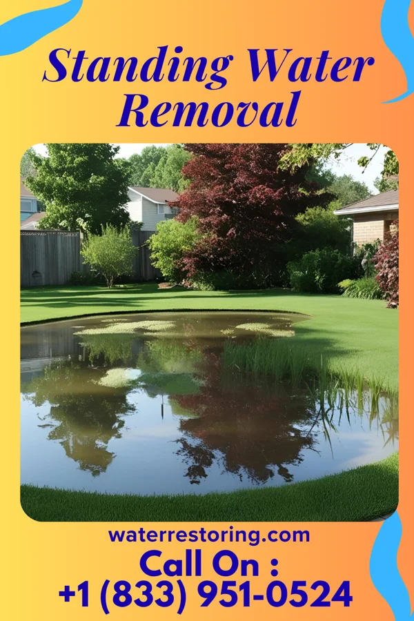 Standing Water Removal in Bourbon, MO